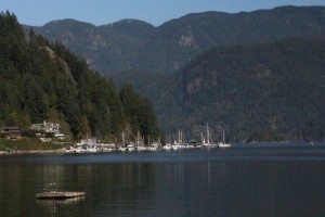IMG_1432[1]