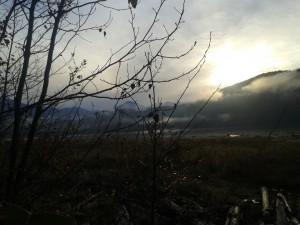 Kanada Nature 2