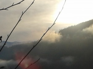 Kanada Nature 3