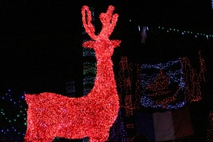 IMG_1451