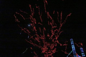 IMG_1464