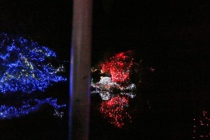 IMG_1538