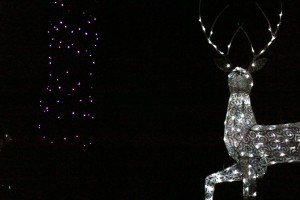 IMG_1543