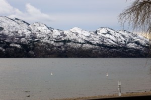 IMG_1628