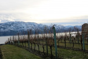 IMG_1639