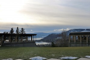 IMG_1646