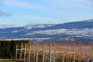 IMG_1658