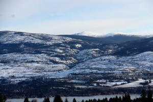 IMG_1660