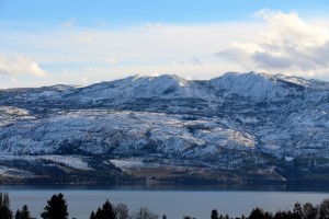 IMG_1661