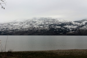 IMG_1673