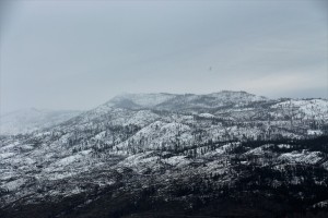 IMG_1674