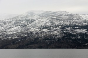 IMG_1675