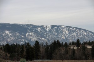 IMG_1681