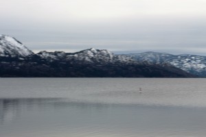 IMG_1684