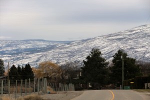 IMG_1687