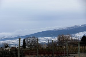 IMG_1689
