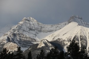 IMG_1696