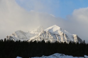 IMG_1698