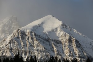 IMG_1699