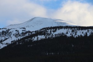 IMG_1703