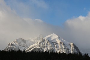 IMG_1706