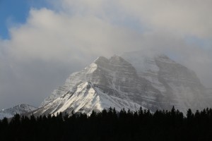 IMG_1709