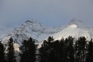 IMG_1713
