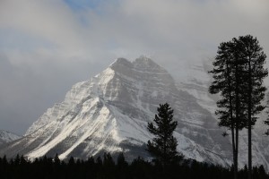 IMG_1716