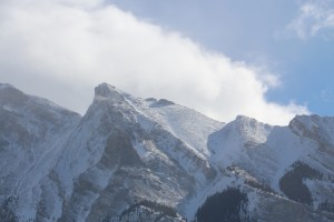 IMG_1739