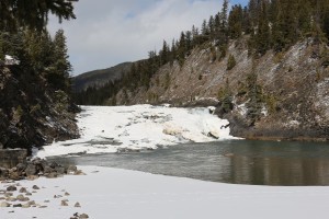IMG_1741