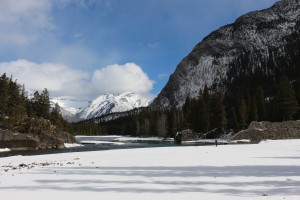 IMG_1746