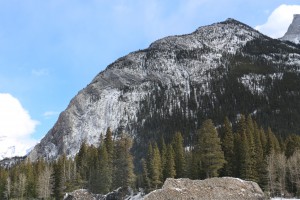 IMG_1748