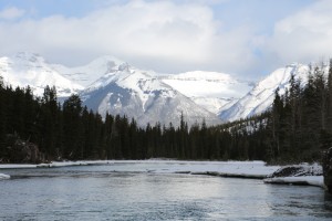 IMG_1754