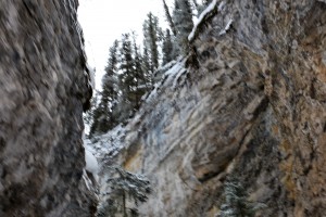 IMG_1786