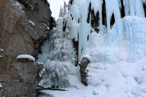 IMG_1806