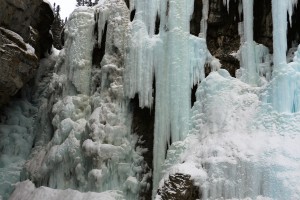 IMG_1812