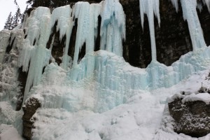 IMG_1816