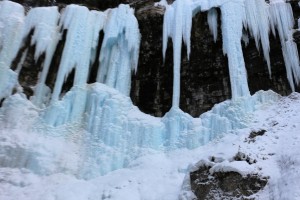 IMG_1817