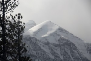 IMG_1844
