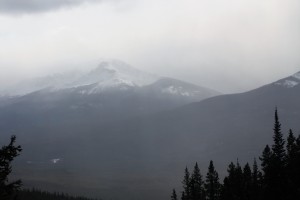IMG_1871