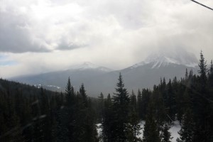 IMG_1872