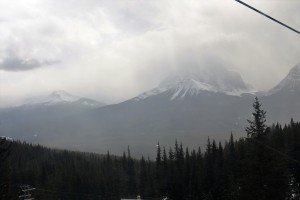 IMG_1876
