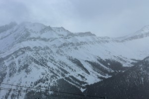 IMG_1892
