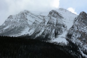 IMG_1894