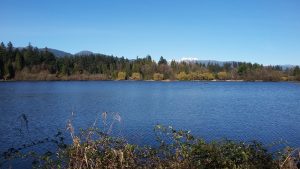 20160317_164747