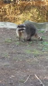20160317_165348