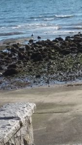 20160317_170418