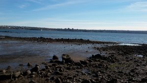 20160317_171154