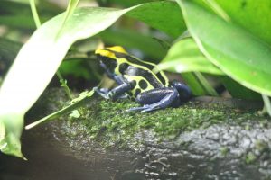 IMG_1905