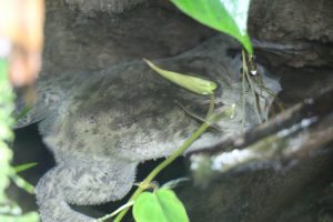 IMG_1906